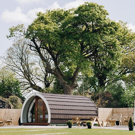 North Coast 9 Glamping Hotel Capecastle Exterior foto
